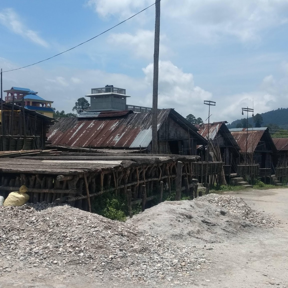 Ziro Music Festival