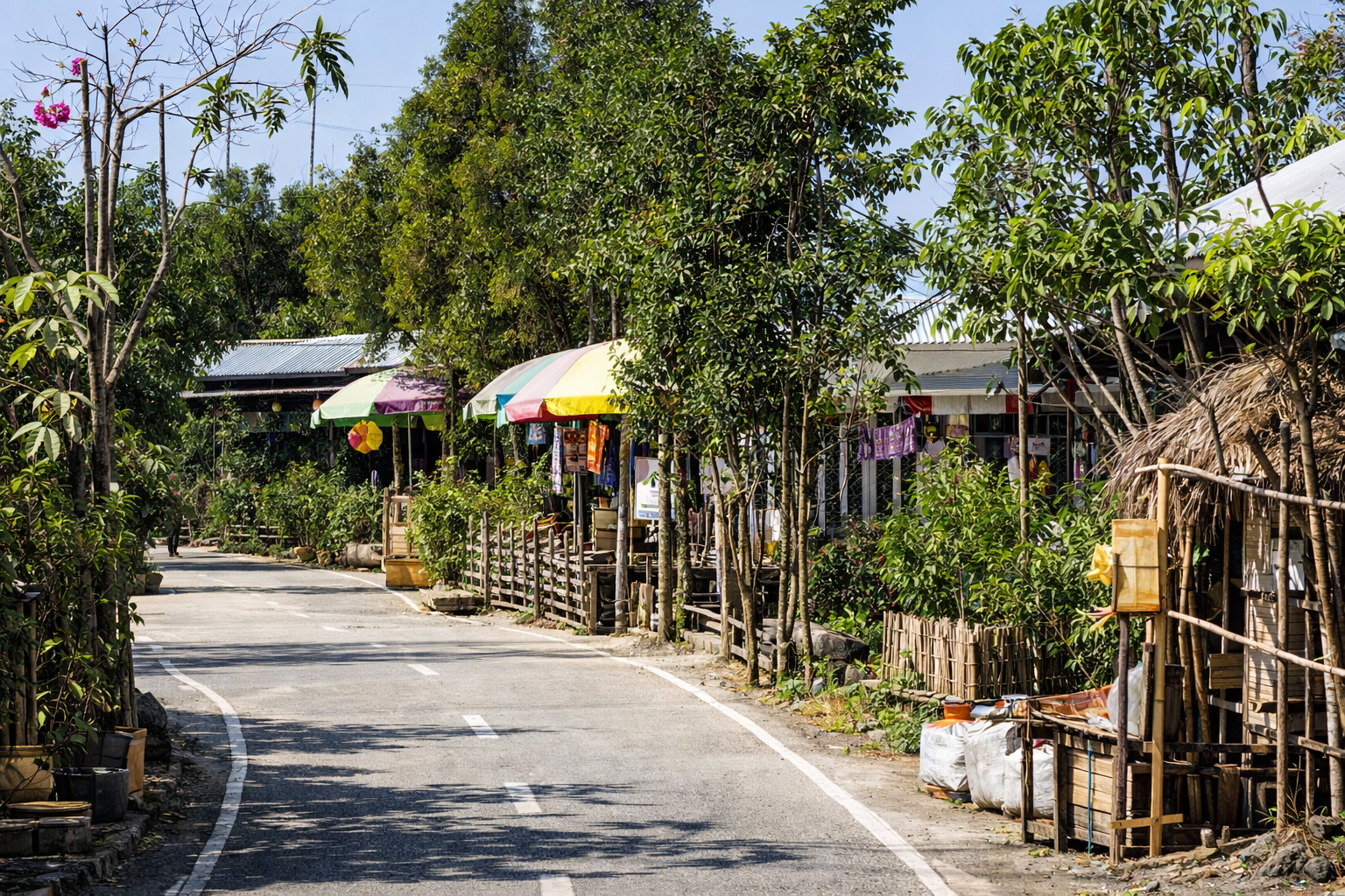 Mawsynram Village